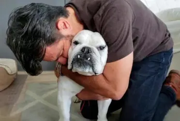 Eugenio Derbez inmortaliza a su mascota 'Fiona'