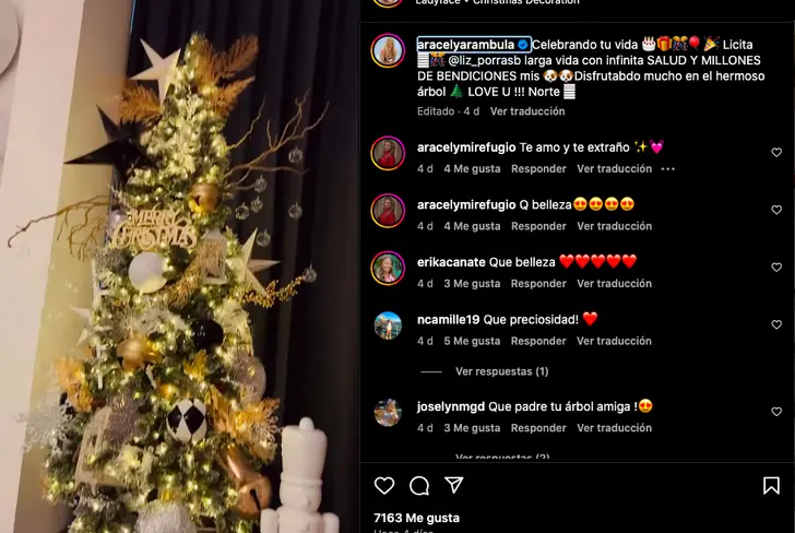 Así fue su árbol de Aracely dedicado a sus perritos&nbsp;