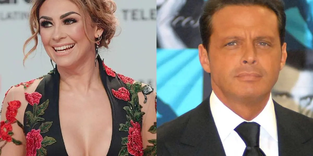 Aracely Arámbula habría cobrado la pensión que pagó Luis Miguel 