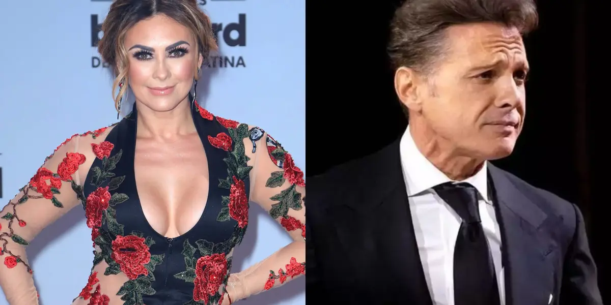 Aracely Arámbula podría contar su historia con Luis Miguel 