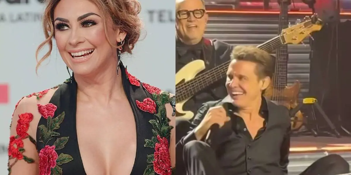 Aracely Arámbula reacciona a la caída de Luis Miguel 