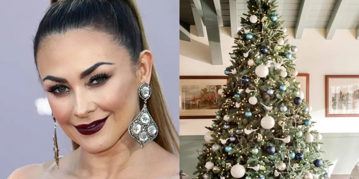 Aracely Arámbula sorprende con su árbol de Navidad 