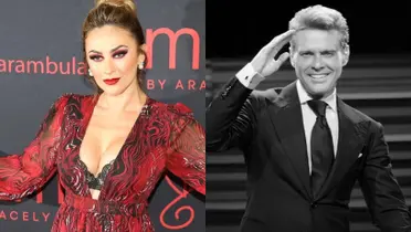 Aracely Arámbula ya decidió sobre la pensión de Luis Miguel 