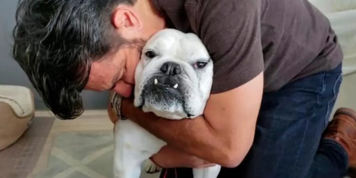 Eugenio Derbez inmortaliza a su mascota 'Fiona'