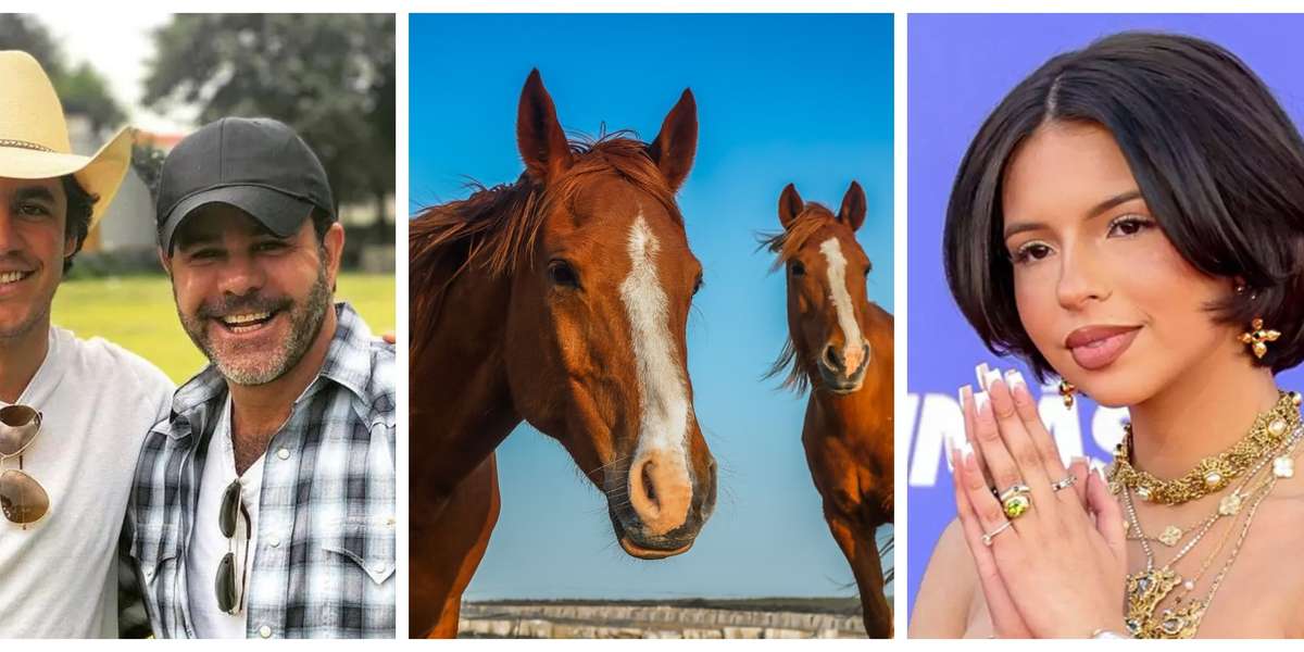 La talentosa joven actualmente tiene un caballo que ni la familia Capetillo tiene en su posición 