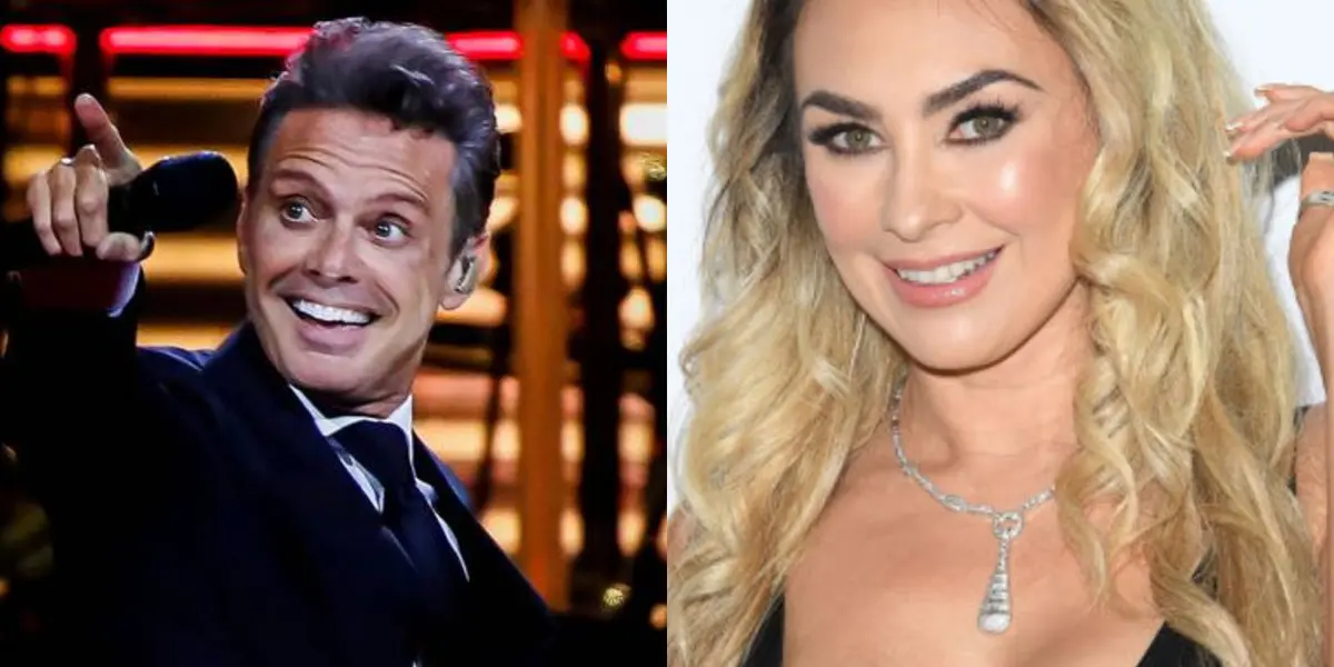 Luis Miguel habla de sus problemas con Aracely Arámbula