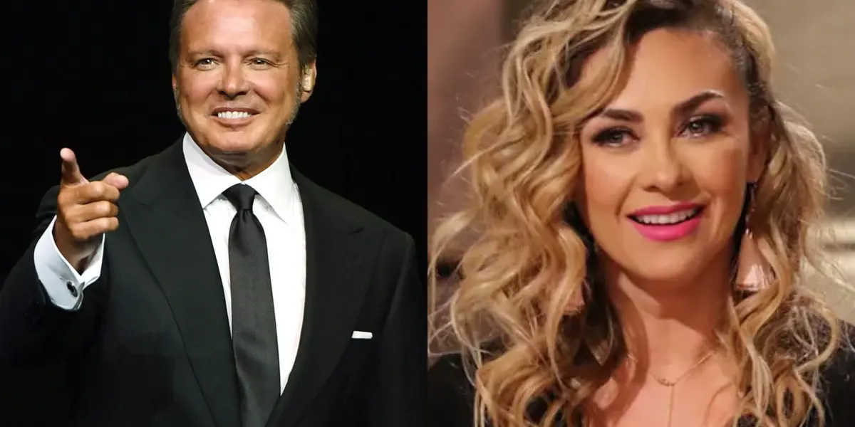 Luis Miguel quiere acabar con los problemas legales con Aracely 