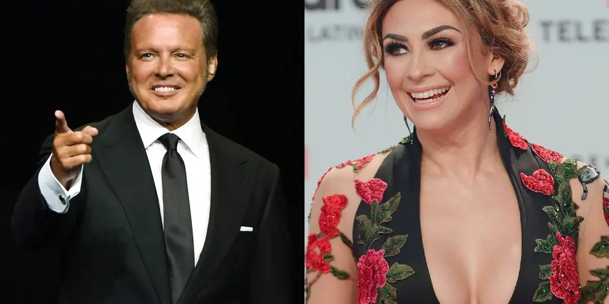 Luis Miguel y Aracely Arámbula llegan a un acuerdo 