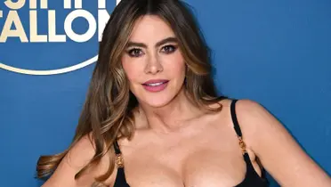 Sofía Vergara habla de las cirugías que podría hacerse al envejecer 