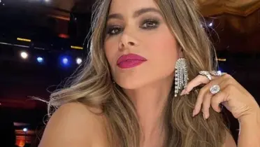 Sofía Vergara pone un requisito para su siguiente pareja 